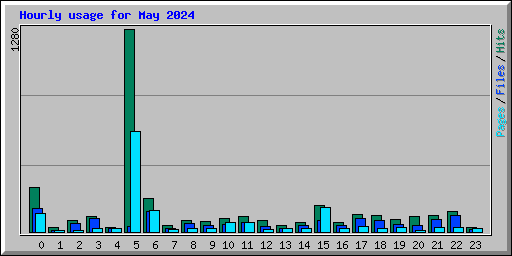 Hourly usage for May 2024